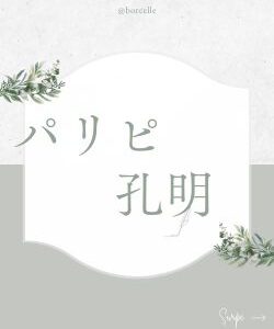 パリピ孔明