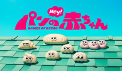 パンの赤ちゃん